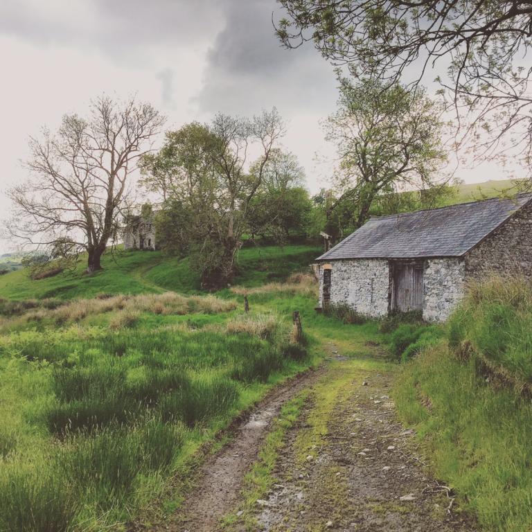 Maes Y Gwaelod Bed & Breakfast Llanwrtyd Wells ภายนอก รูปภาพ