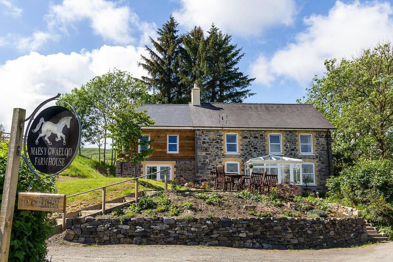 Maes Y Gwaelod Bed & Breakfast Llanwrtyd Wells ภายนอก รูปภาพ